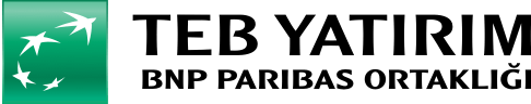Teb Yatirim Logo