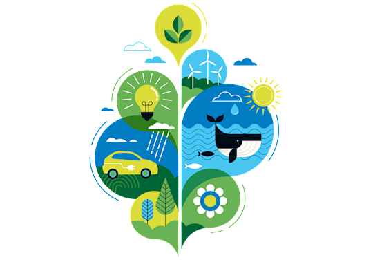 Sürdürülebilirlik Politikamız